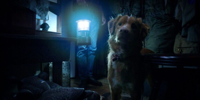 The Do’s and Don’ts of Including a Pet Death in Your Movie The Do's and Don'ts of Including a Pet Death in Your Movie