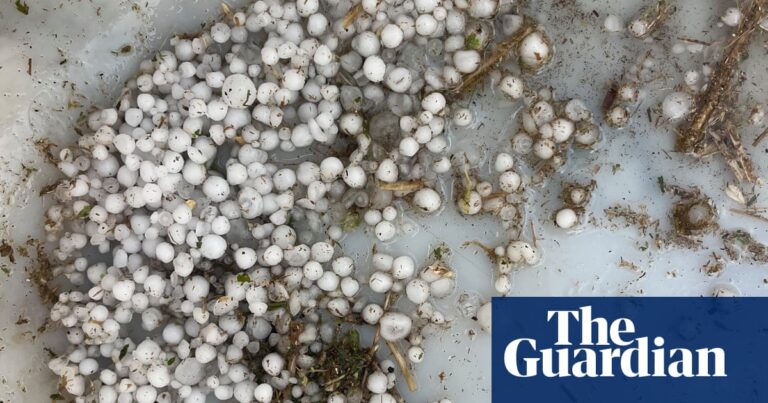 Thousands without power in Queensland as Victoria experiences ‘terrifying’ winds after year’s wettest day | Australia weather Thousands without power in Queensland as Victoria experiences ‘terrifying’ winds after year’s wettest day | Australia weather