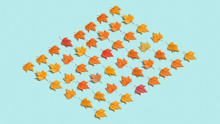 When Setting the Standard for Your Team, Avoid This Common Mistake