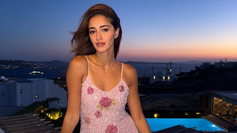 ananya panday bag