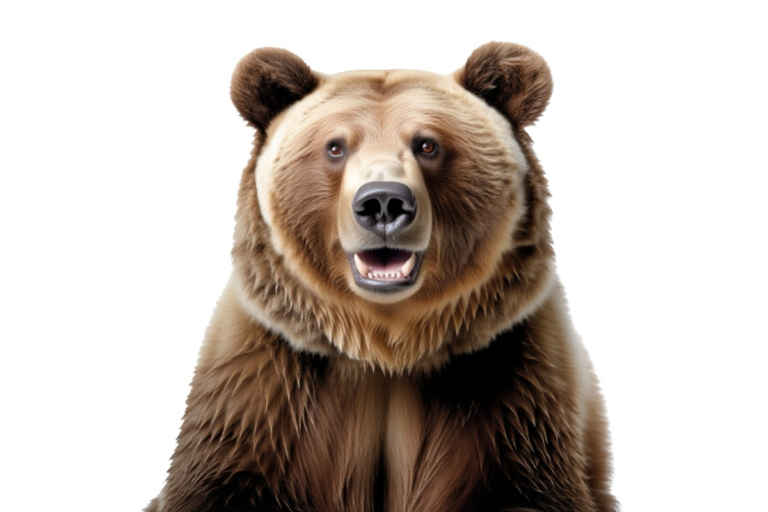 Dear Joy, how do I keep optimistic as another year fades away? Dear Joy, how do I keep optimistic as another year fades away?