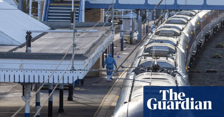 Man charged after mass stabbing on train in Cambridgeshire | UK news