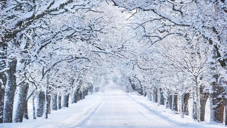 The danger of believing business myths The danger of believing business myths