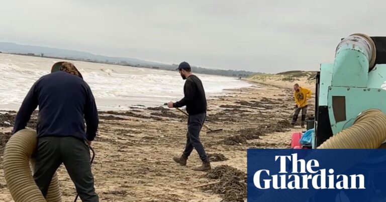‘Environmental catastrophe’ fears as millions of plastic beads wash up on Camber Sands | East Sussex