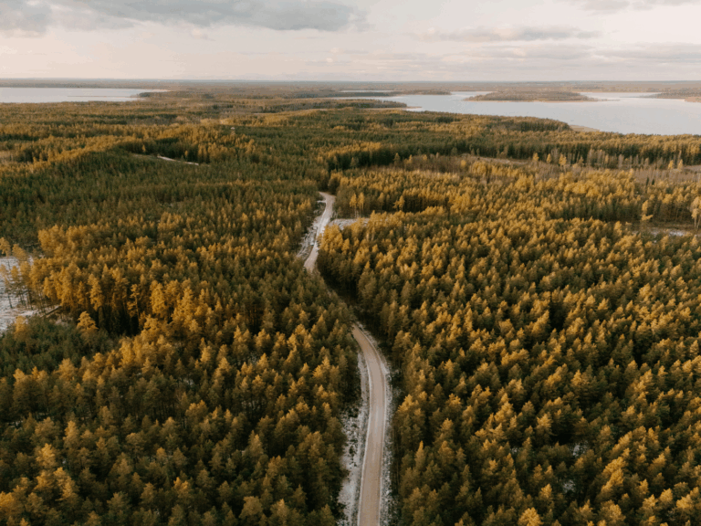 How I Prepared My Social Media for an Extended Medical Leave